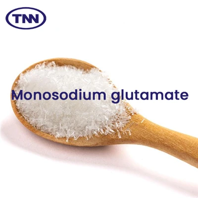 Mononatriumglutamat CAS142-47-2